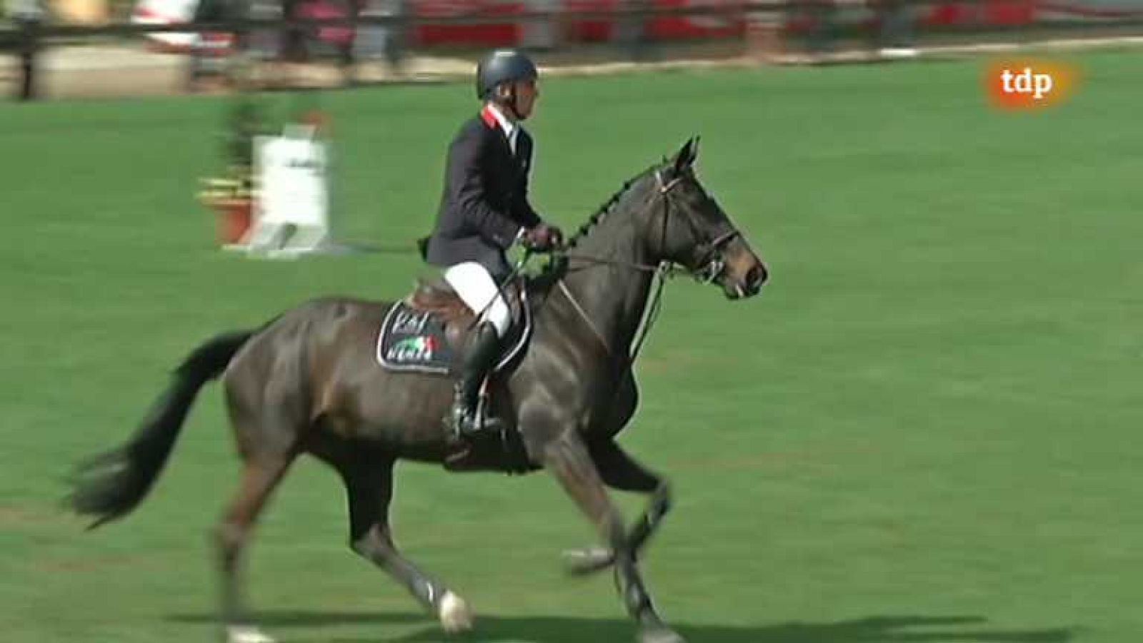 Hípica - Concurso de saltos Sunshine Tour 2013, 2º programa - Ver ahora