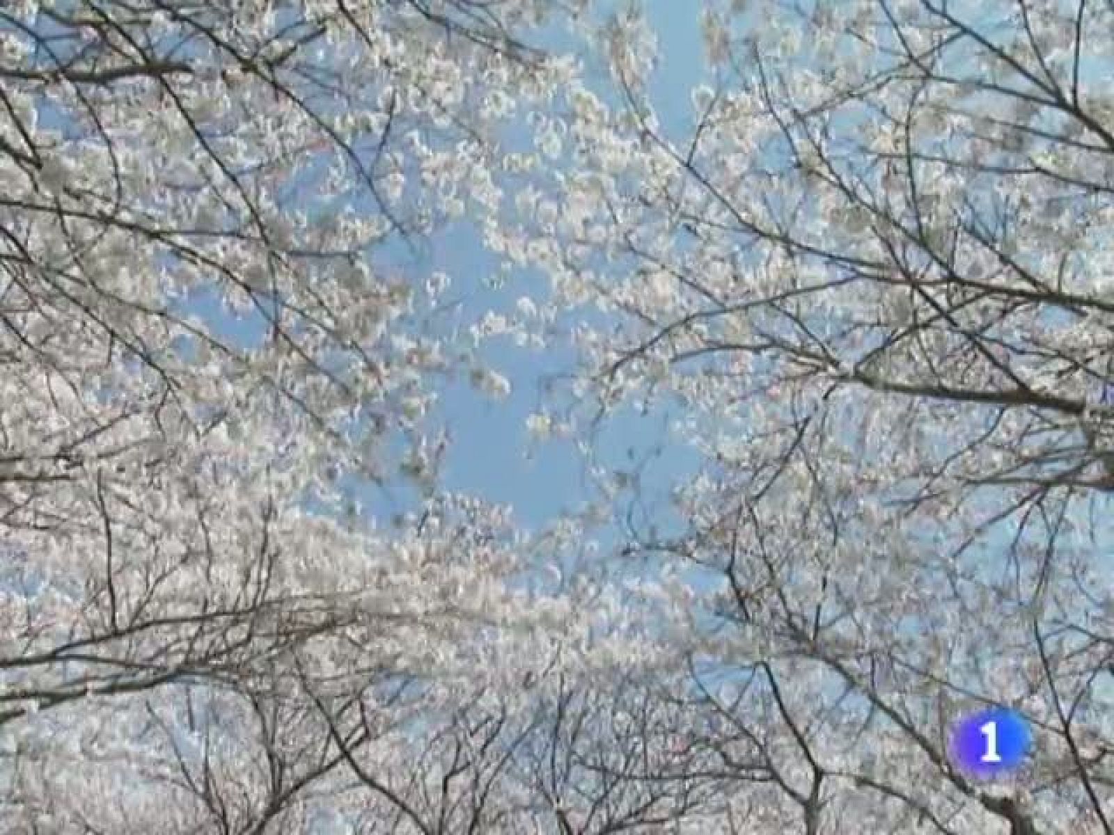 El tiempo en Cantabria - 01/04/2013