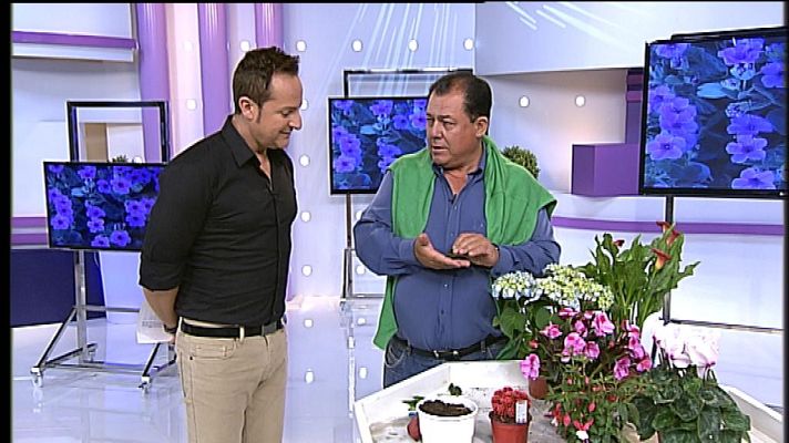 Cerca de ti - Cerca de ti - 03/04/13