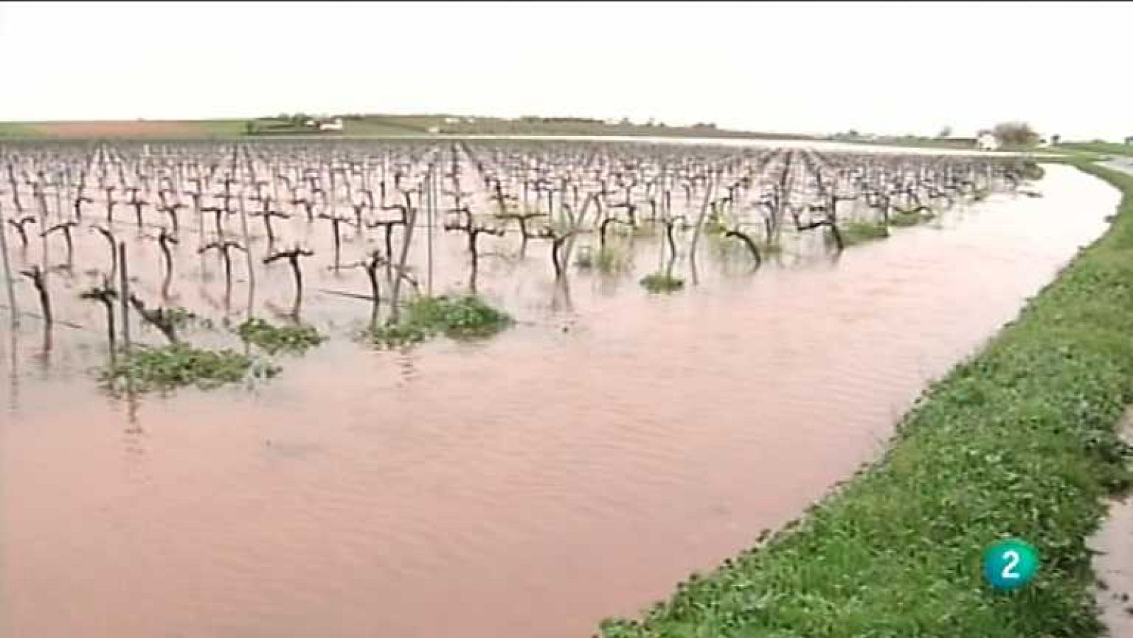 Agrosfera - 06/04/13  - Ver ahora