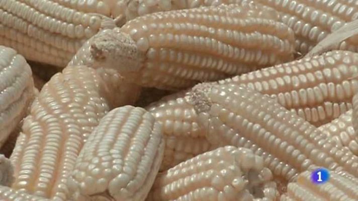 Informe Semanal - Semillas para el hambre