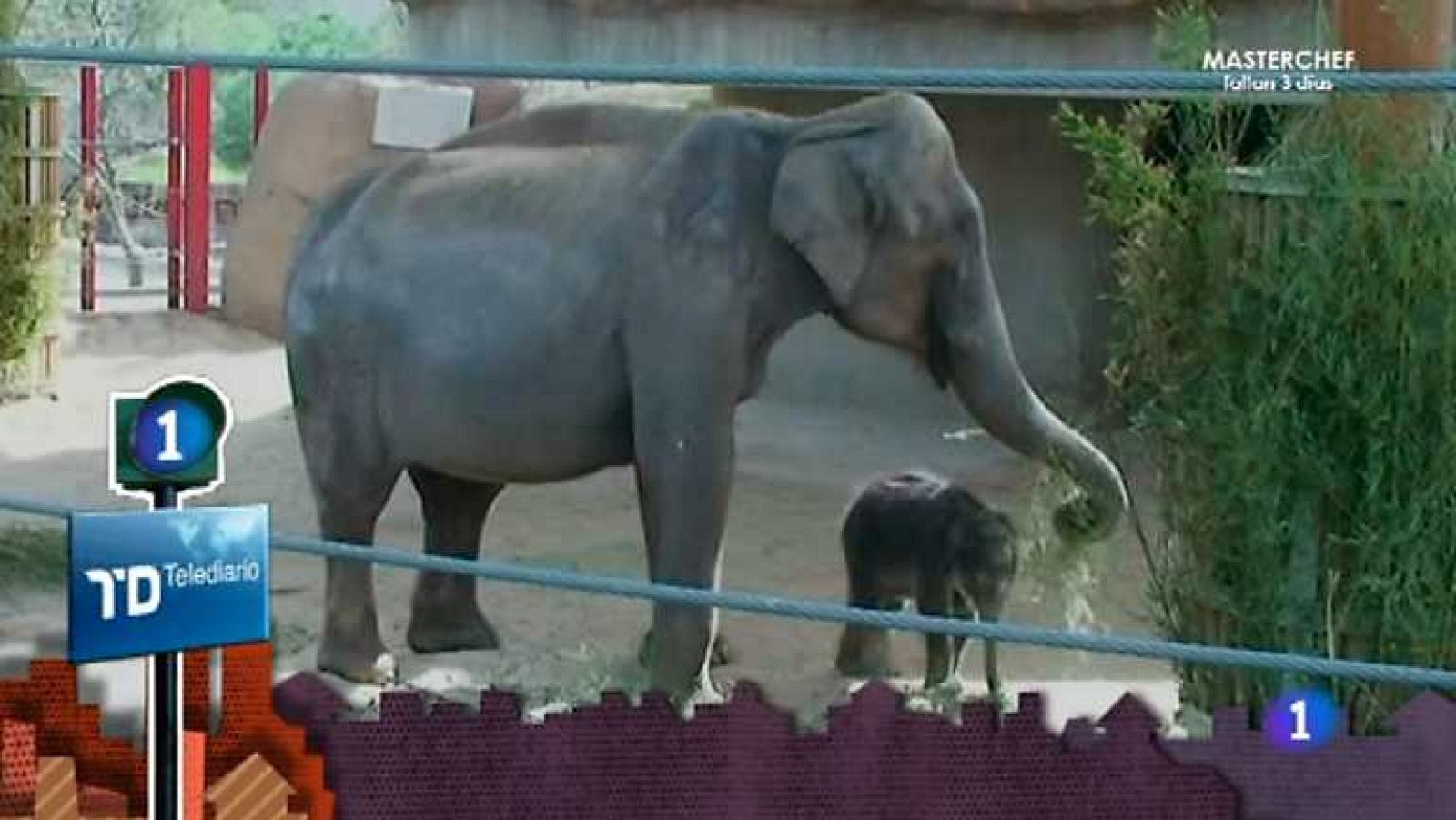 Lo que hay que ver - 07/04/13 - Ver ahora