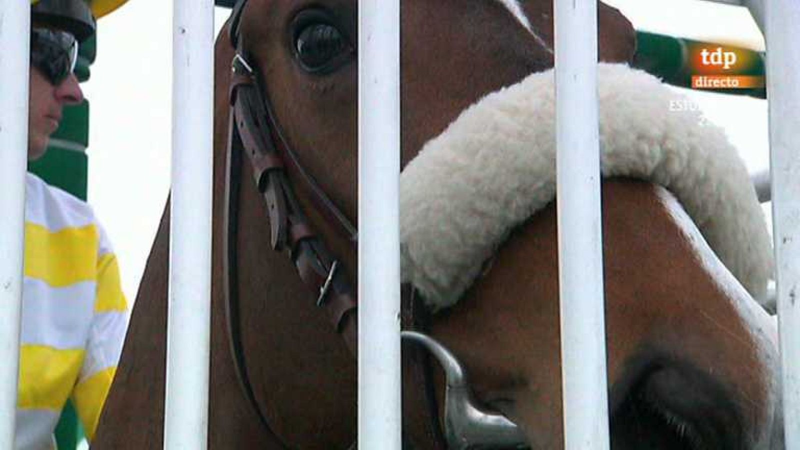 Turf - 07/04/13 - Ver ahora