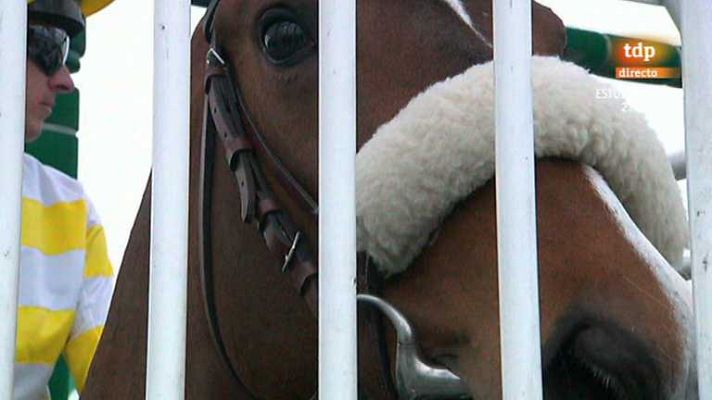 Turf - Turf - 07/04/13