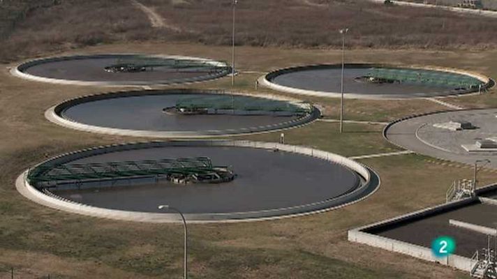 Biodiario - Biodiario - 09/04/13