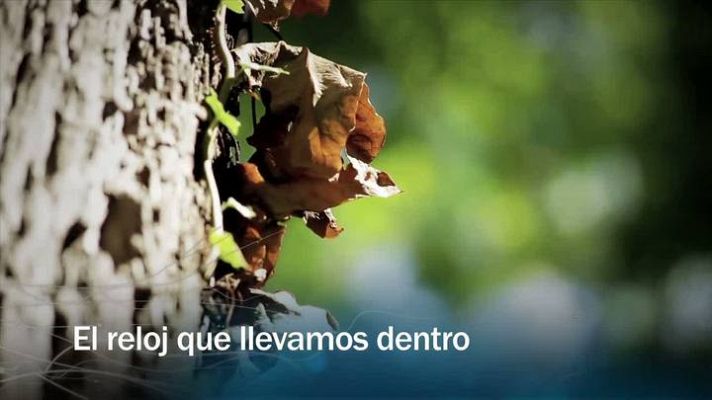 Redes - El reloj que llevamos dentro