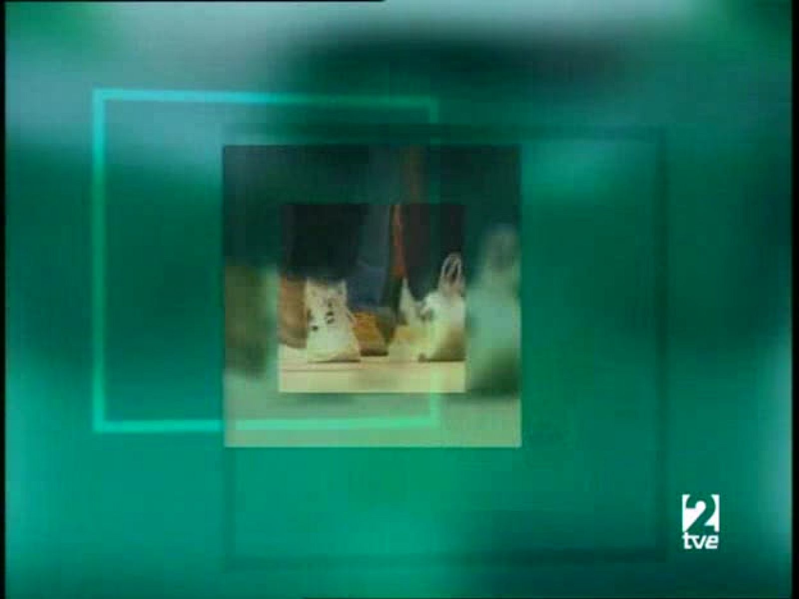 Últimas preguntas- Sociedad y religión - Últimas preguntas | Ver