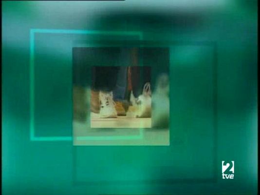 Últimas preguntas - Sociedad y religión