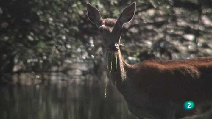 Biodiario - Biodiario - 11/04/13