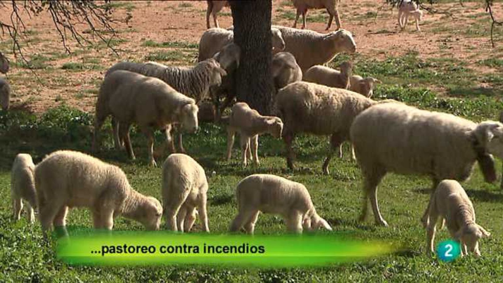 Agrosfera - 13/04/13  - Ver ahora