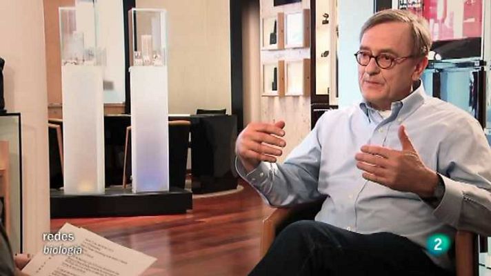 Redes - El reloj que llevamos dentro V.O.