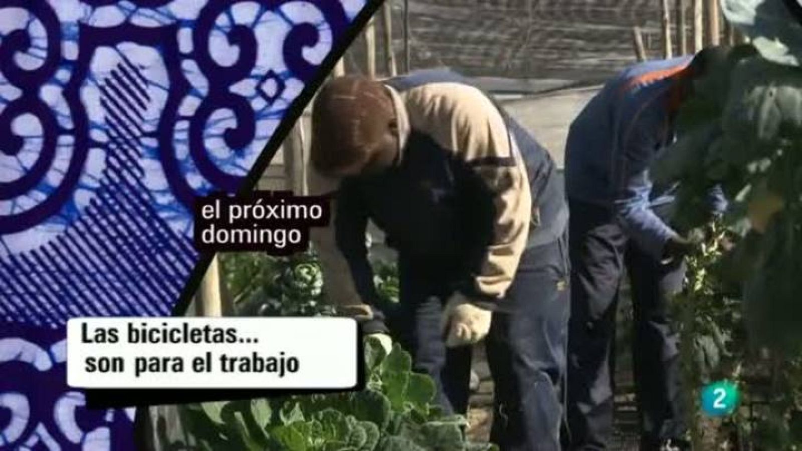 Babel en TVE - Avance - 21/04/13