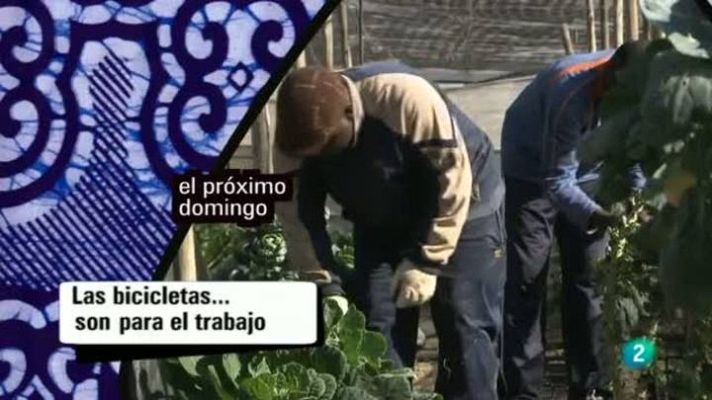 Babel en TVE - Babel en TVE - Avance - 21/04/13