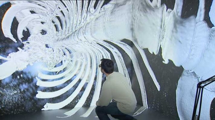 Telediario 1 - Descubriendo el cuerpo humano en 3D