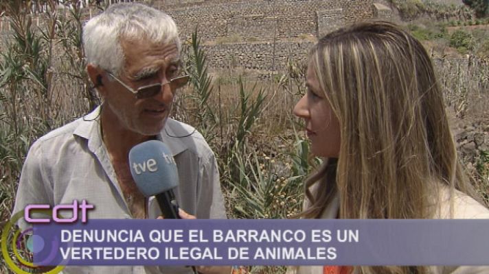 Cerca de ti - Cerca de ti - 15/04/13