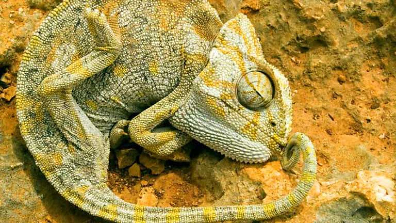 Grandes documentales - Aislados: una historia de supervivencia. Separados del mundo - ver ahora