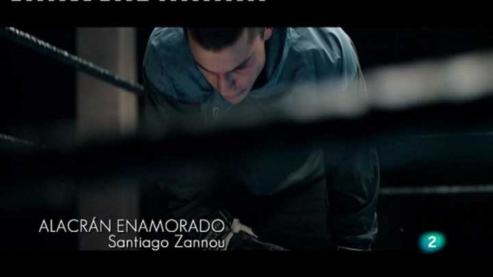 Continuarà - "Alacrán enamorado"