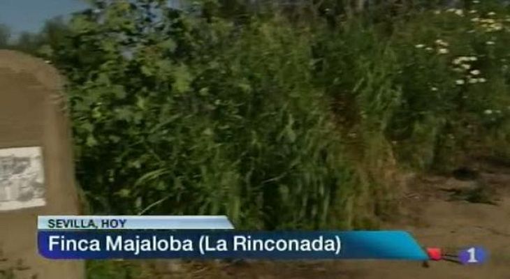 Noticias Andalucía - Noticias Andalucía 2 - 17/04/2013