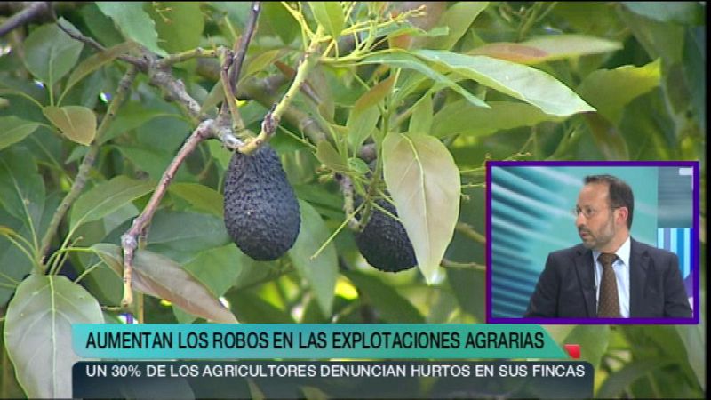 + Canarias - 18/04/13 - +Canarias | Ver