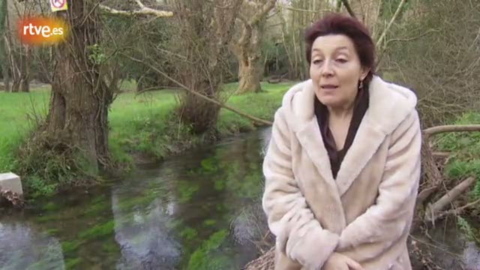 Cecilia Pérez, alcaldesa de El Franco, concejo afectado también por la mina | Ver