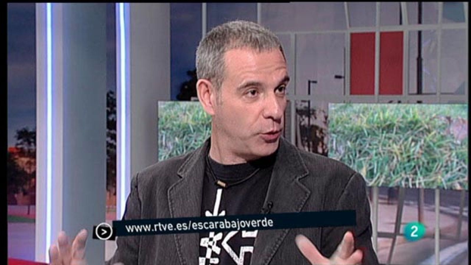 Para Todos La 2 - Escarabajo verde