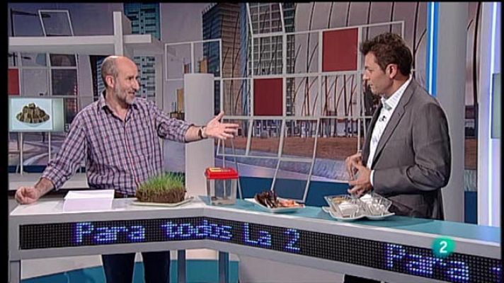 Para todos La 2 - Los azúcares