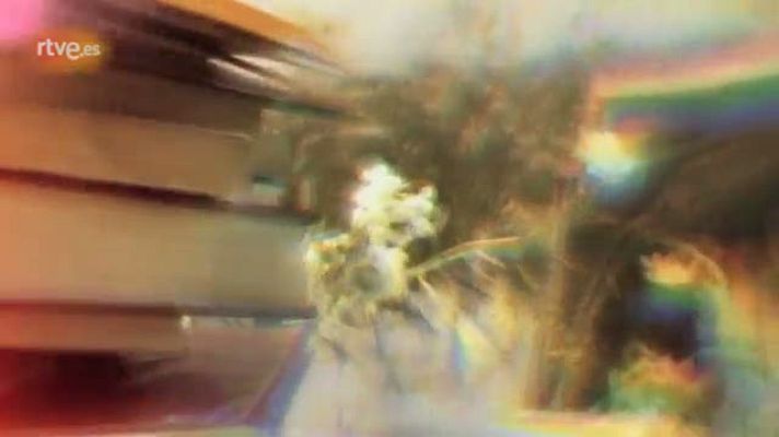 Somos promos - TVE Pasión por leer - Recomendaciones de nuestros famosos - Mix