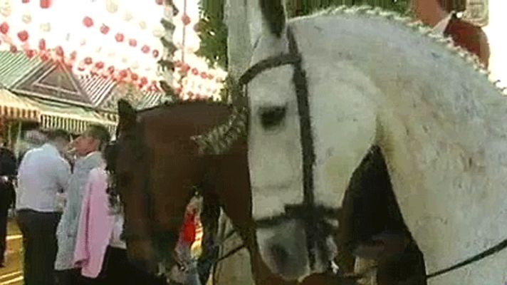 Telediario 1 - Se espera gran afluencia a Sevilla