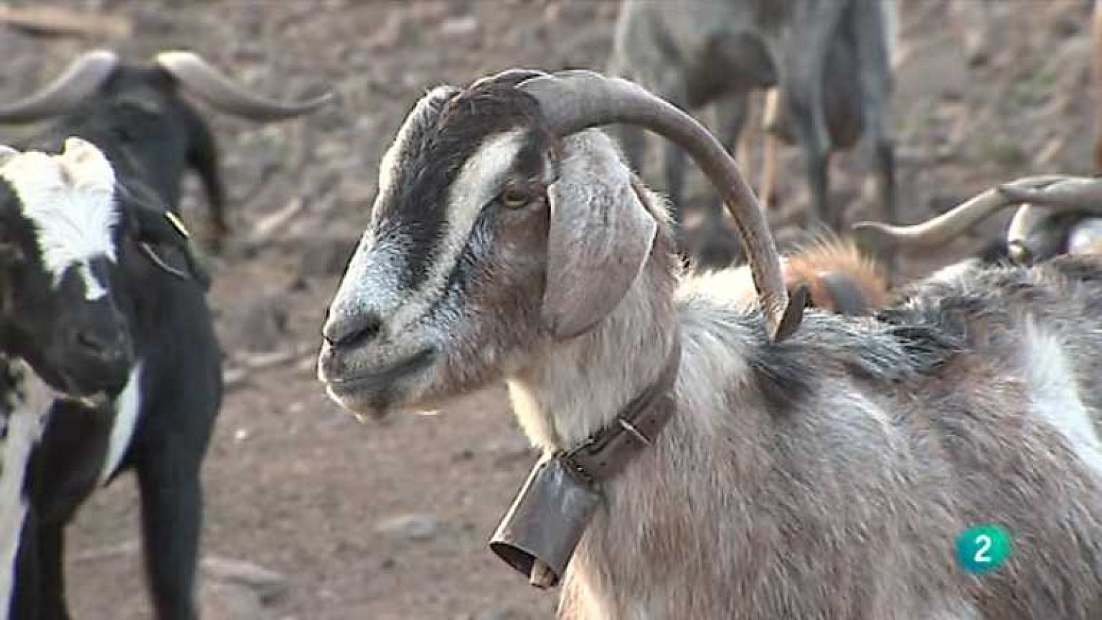 Agrosfera - 20/04/13 - Ver ahora