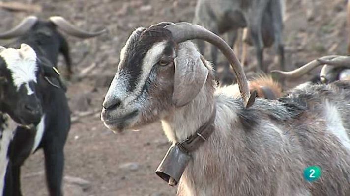 Agrosfera - Agrosfera - 20/04/13