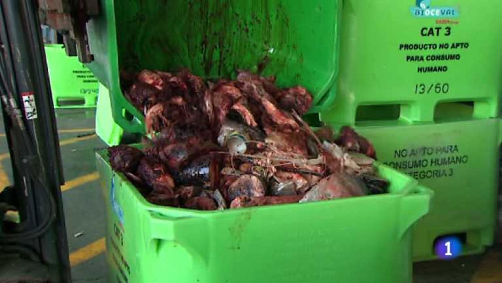 Informe Semanal - Concienciados con la pobreza  - Ver ahora