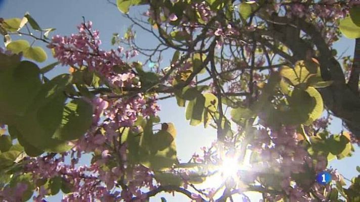 L'Informatiu - Portes Obertes al Jardí Botànic de Barcelona