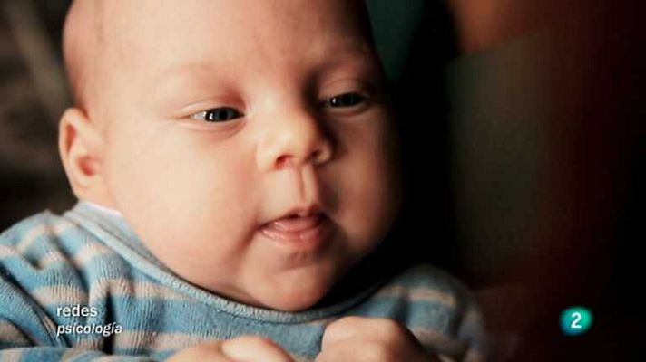 Redes - Los bebés comprenden la música