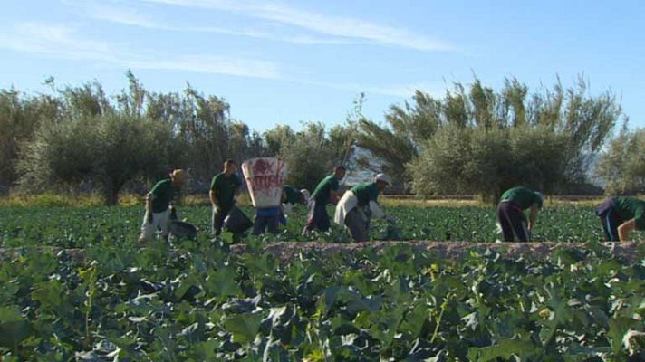 Telediario 1 - Pobreza en Brasil