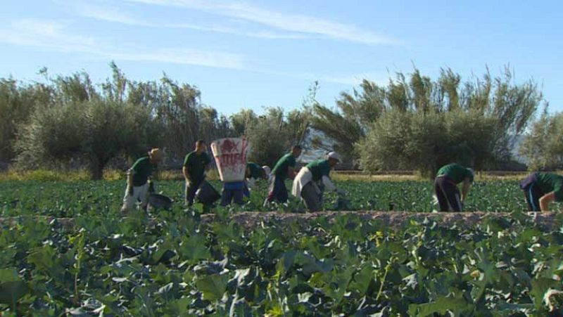 16 millones de brasileños sobreviven con menos de 31 euros al mes