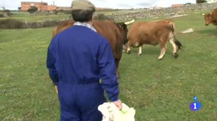 Comando Actualidad - Asturianos en Madrid