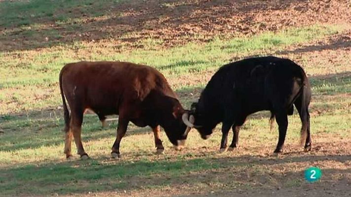 Biodiario - Biodiario - 25/04/13