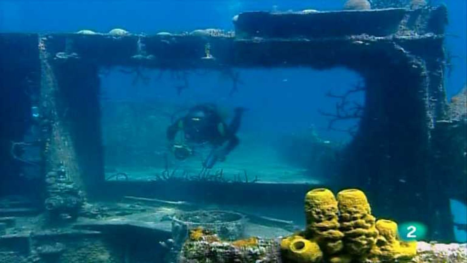 Bubbles - Isla de la juventud - Ver ahora