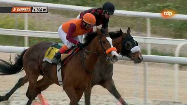 Turf - Turf - 26/04/13