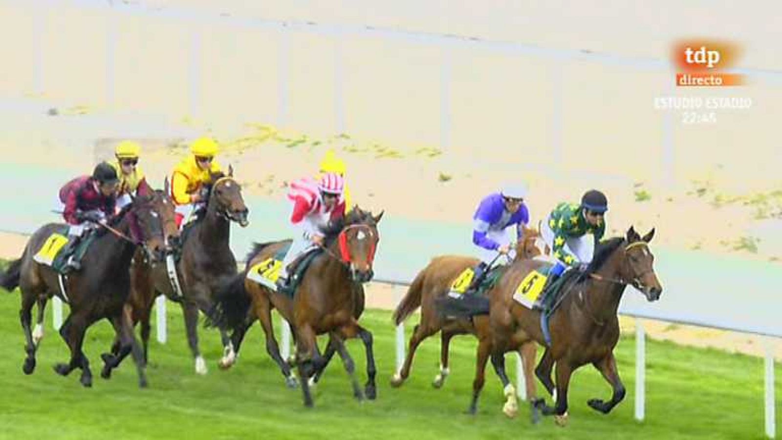 Turf - 28/04/13 - Ver ahora