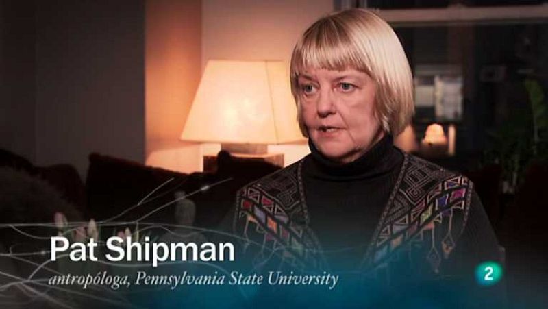 Redes - De presas a depredadores V.O.