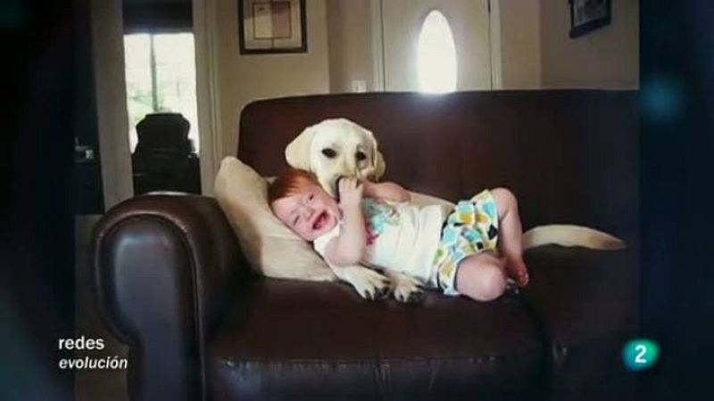 Redes - La mirada de Elsa - Los perros-guía