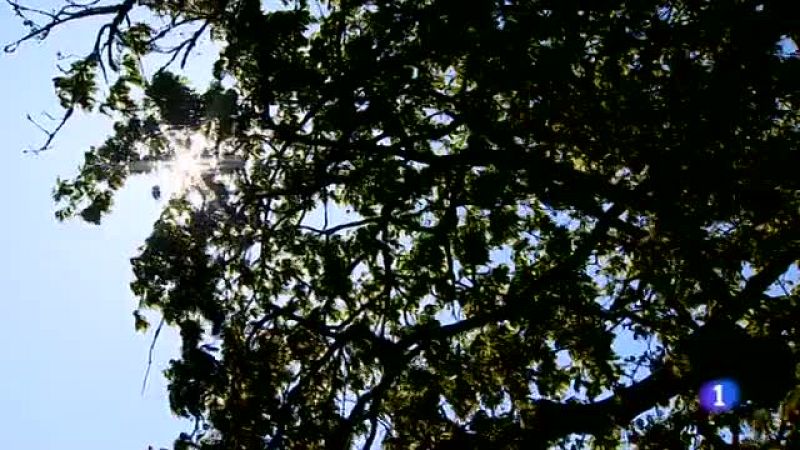 El tiempo en Galicia - 29/04/13