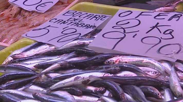 Telediario 1 - Las capturas de anchoas bajan un 5%