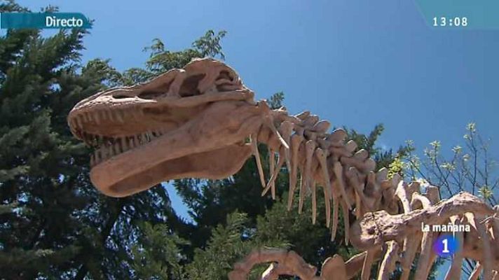 La mañana - La mañana de La 1 - 03/05/13