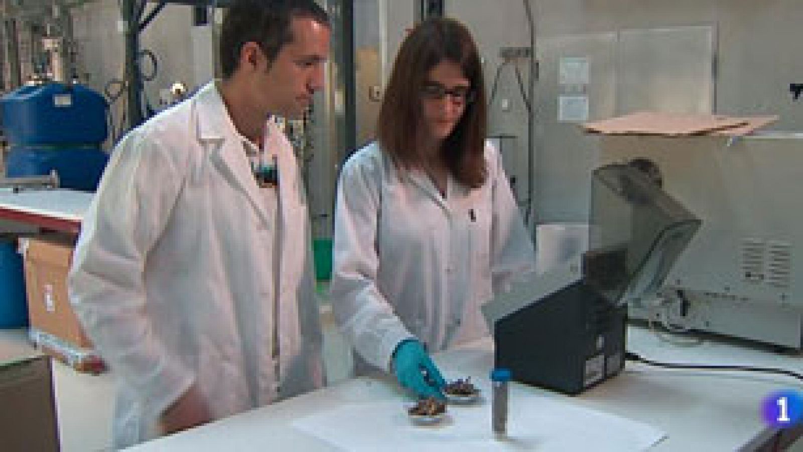 Los científicos estudian los deshechos alimenticios para darles nuevas utilidades