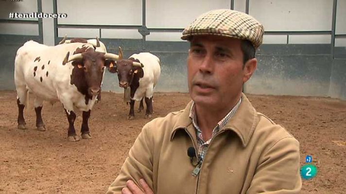 Tendido cero - Tendido Cero - 04/05/13