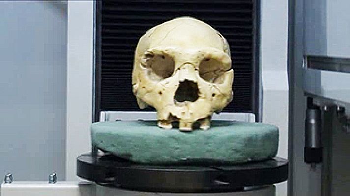 Universo UNED - No era el último Neandertal.