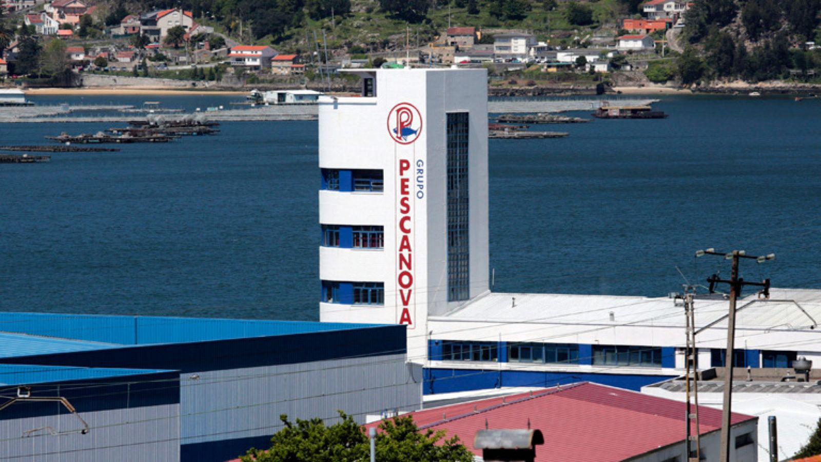 Deloitte y la banca acreedora de Pescanova se reúnen para renegociar la deuda | Ver