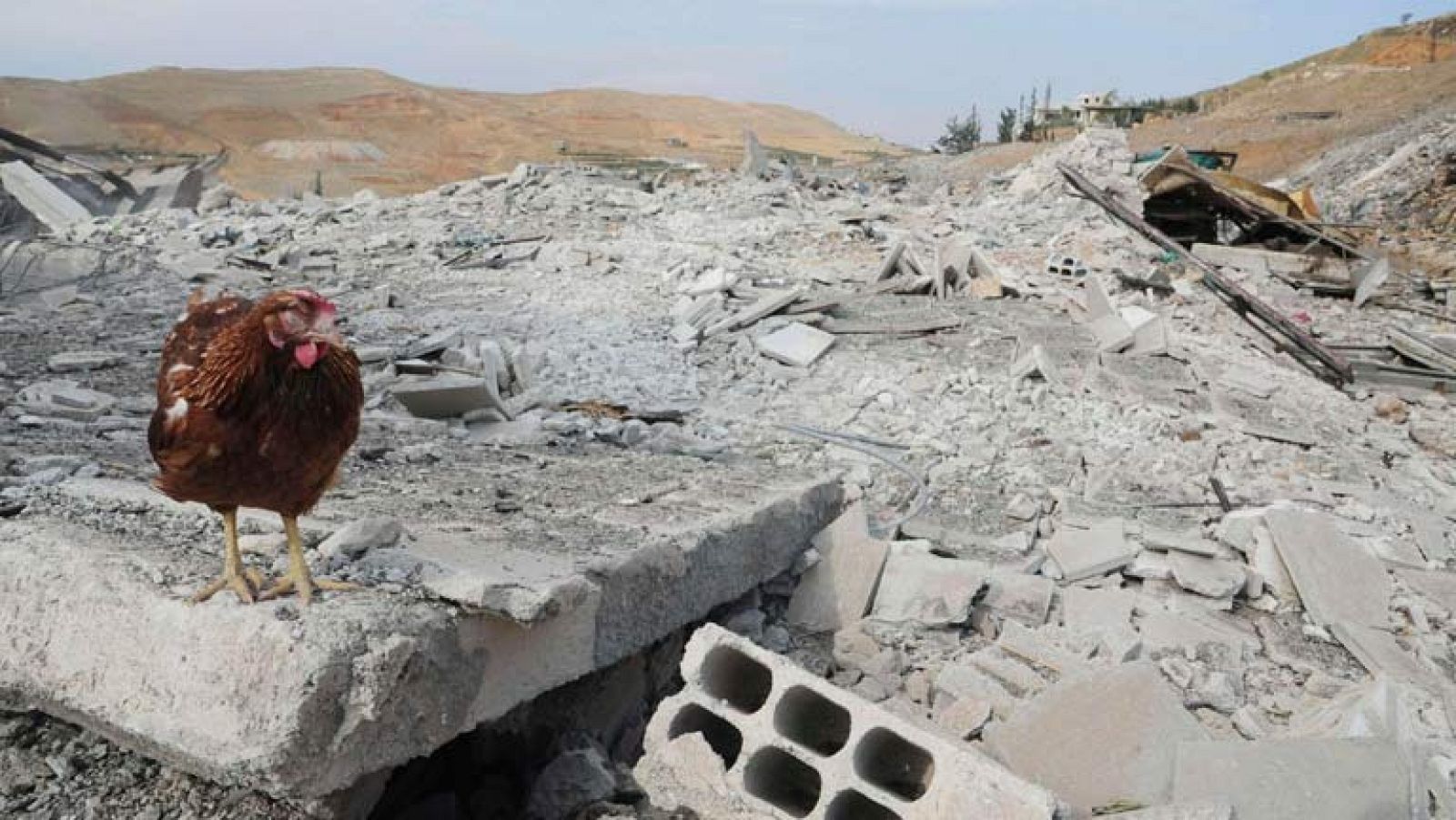 La ONU sospecha que la oposición siria ha usado gas sarín, pero los rebeldes lo niegan | Ver